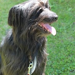 Ausflug im Mai 2016 (13)